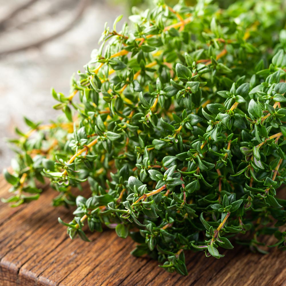 White Thyme Oil